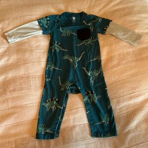 Tea Collection romper in size 12-18 months.